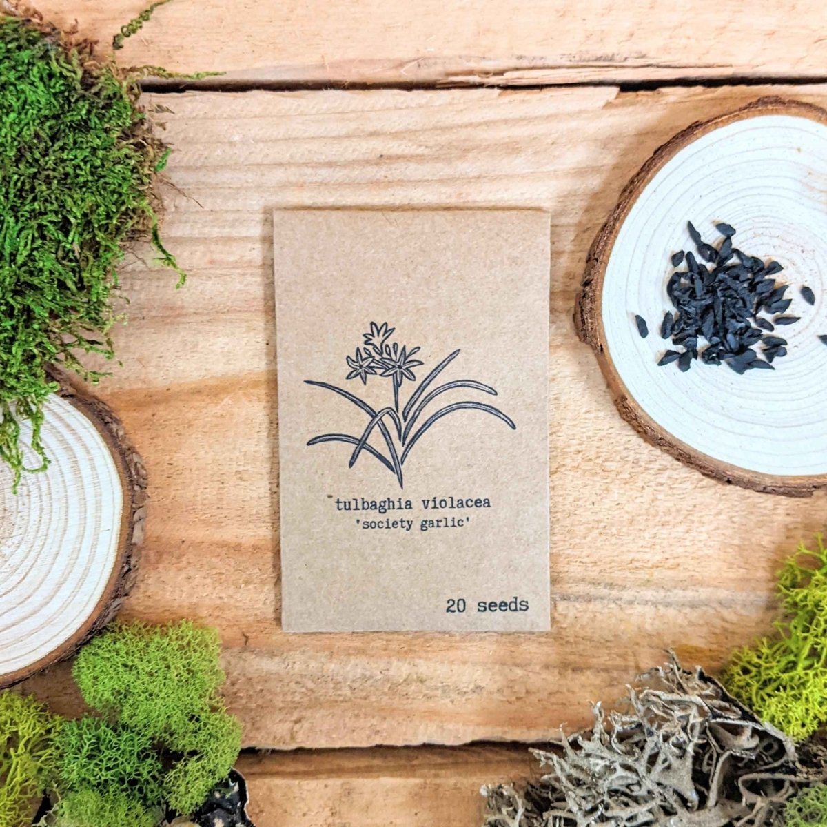 Houseplant seed packet for tulbaghia violacea, 20 seeds, with seed design