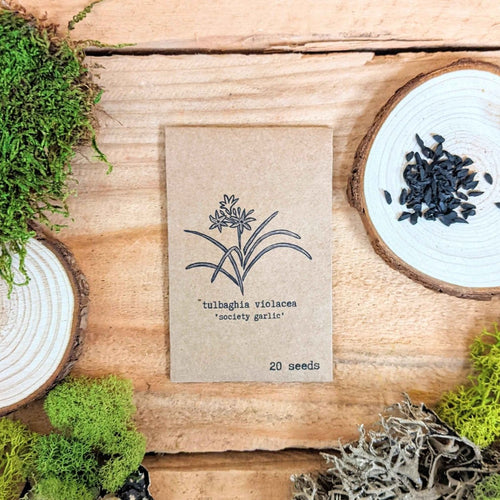 Houseplant seed packet for tulbaghia violacea, 20 seeds, with seed design