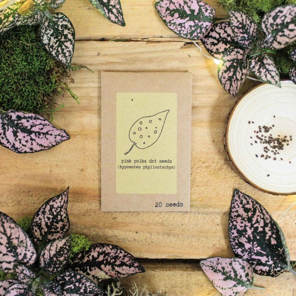 Houseplant seed packet for pink polka dot seeds, 20 seeds, with leaf illustration