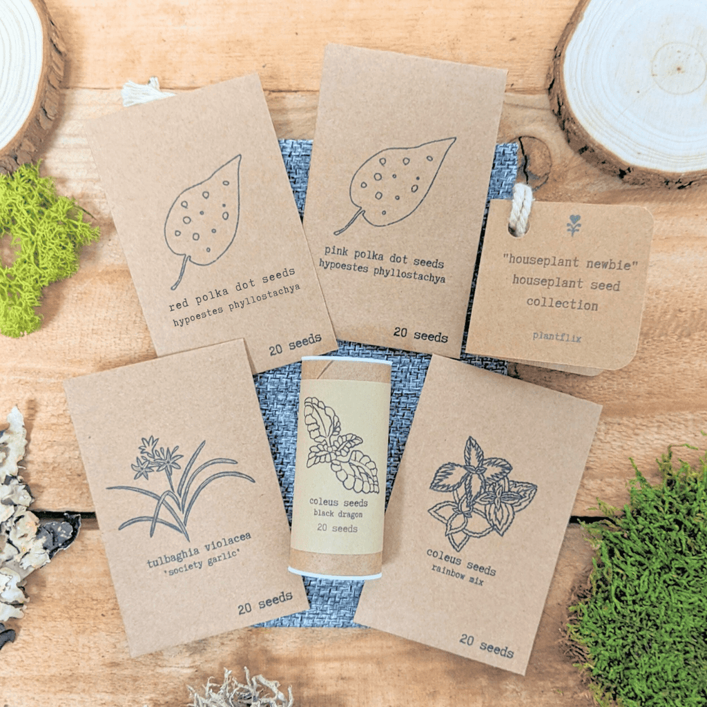 Houseplant seed collection with five labeled seed packets on kraft paper