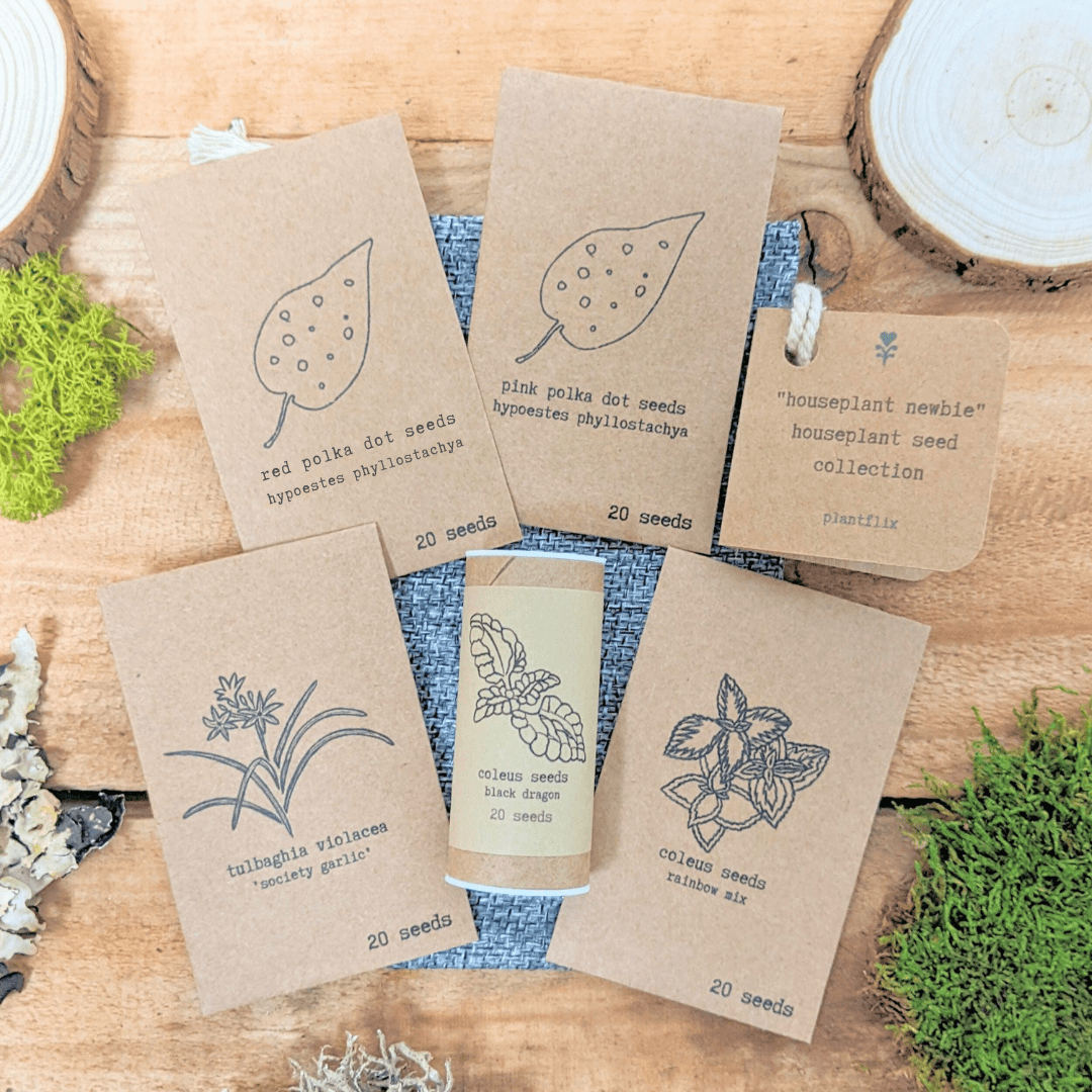 Houseplant seed collection with five labeled seed packets on kraft paper