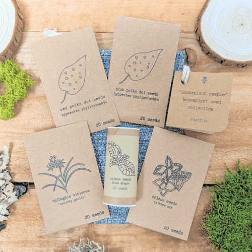 Houseplant seed collection with five labeled seed packets on kraft paper