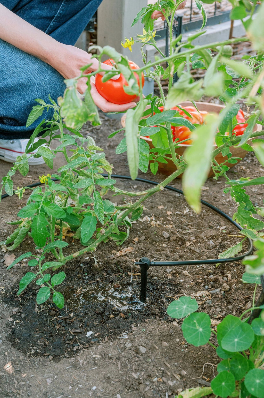 Orbit Drip Irrigation Starter Kit 91944