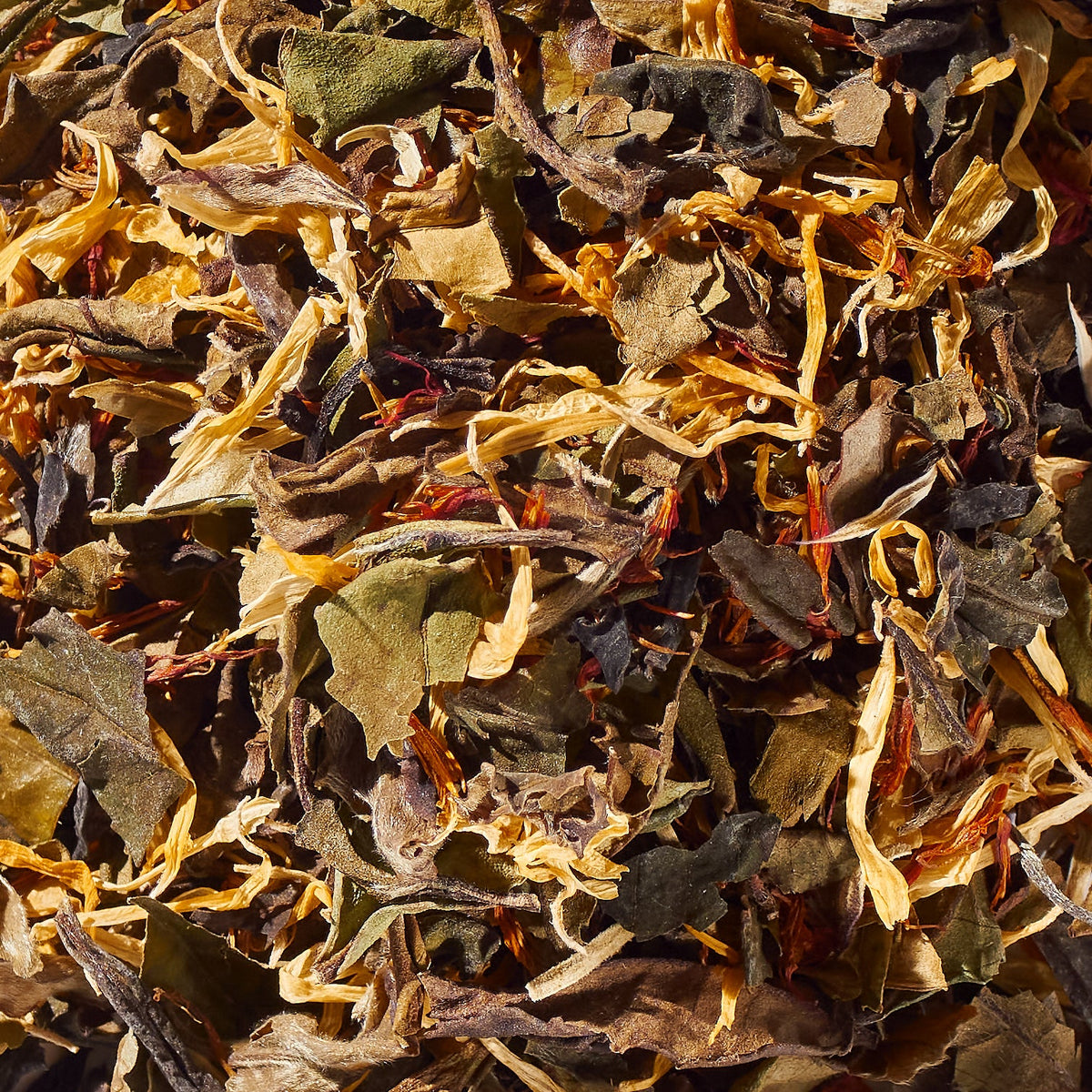 Snow Maple No. 41 loose white tea leaves with yellow and red petals