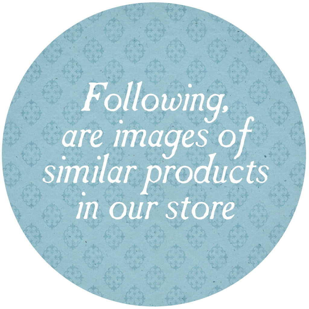 Blue circle label: 'Following are images of similar products in our store'