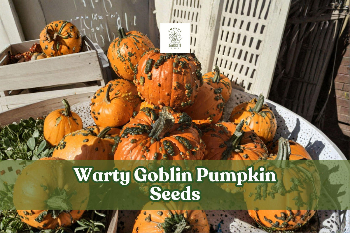 Bumpy orange ornamental pumpkins with dark green stems