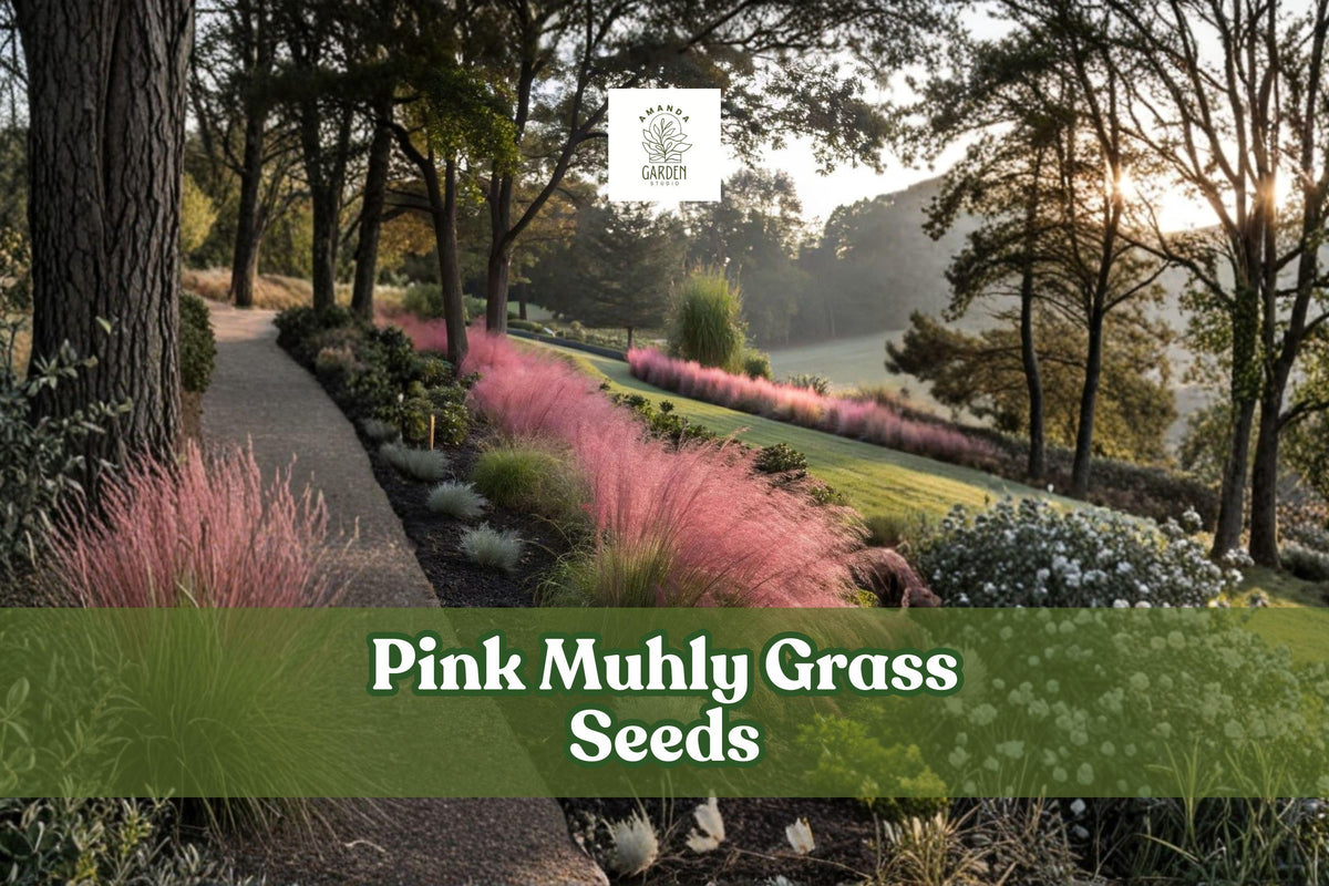 Pink muhly grass with feathery pink plumes lining a garden path