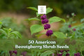 American beautyberry shrub seeds, 50-pack label over a plant with clusters of purple berries