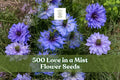 Love-in-a-mist flower seeds, 500 seeds; package features blue and purple blooms.