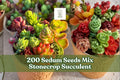 200 Sedum seeds mix packet with stonecrop succulent groundcover for gardens and containers