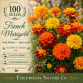 French Marigold Petite Mix Seeds – Heirloom Non-GMO Garden Border Container Plant