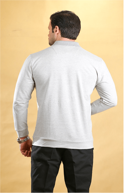 Light gray long-sleeve polo shirt back view with ribbed hem