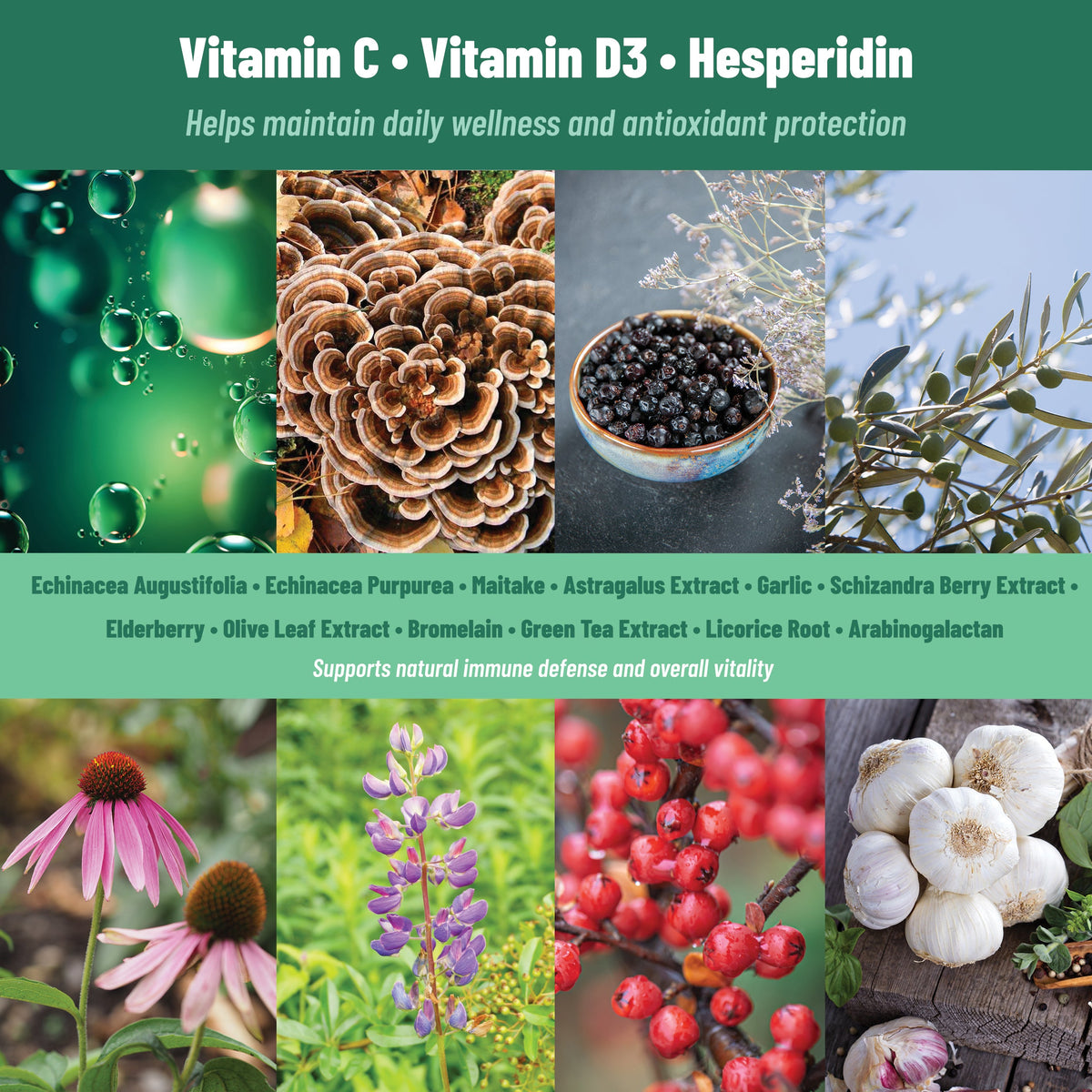 Vitamin C and D3 patch ingredient collage with botanicals and herbal extracts