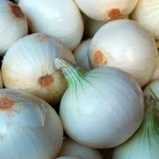 Sweet Spanish onion bulbs with pale golden-brown centers