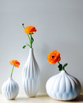 Set of 3 white textured porcelain vases with orange flower stems and blooms.