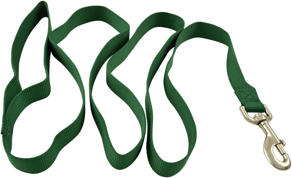 Green nylon dog leash with multiple loops and metal swivel snap hook.
