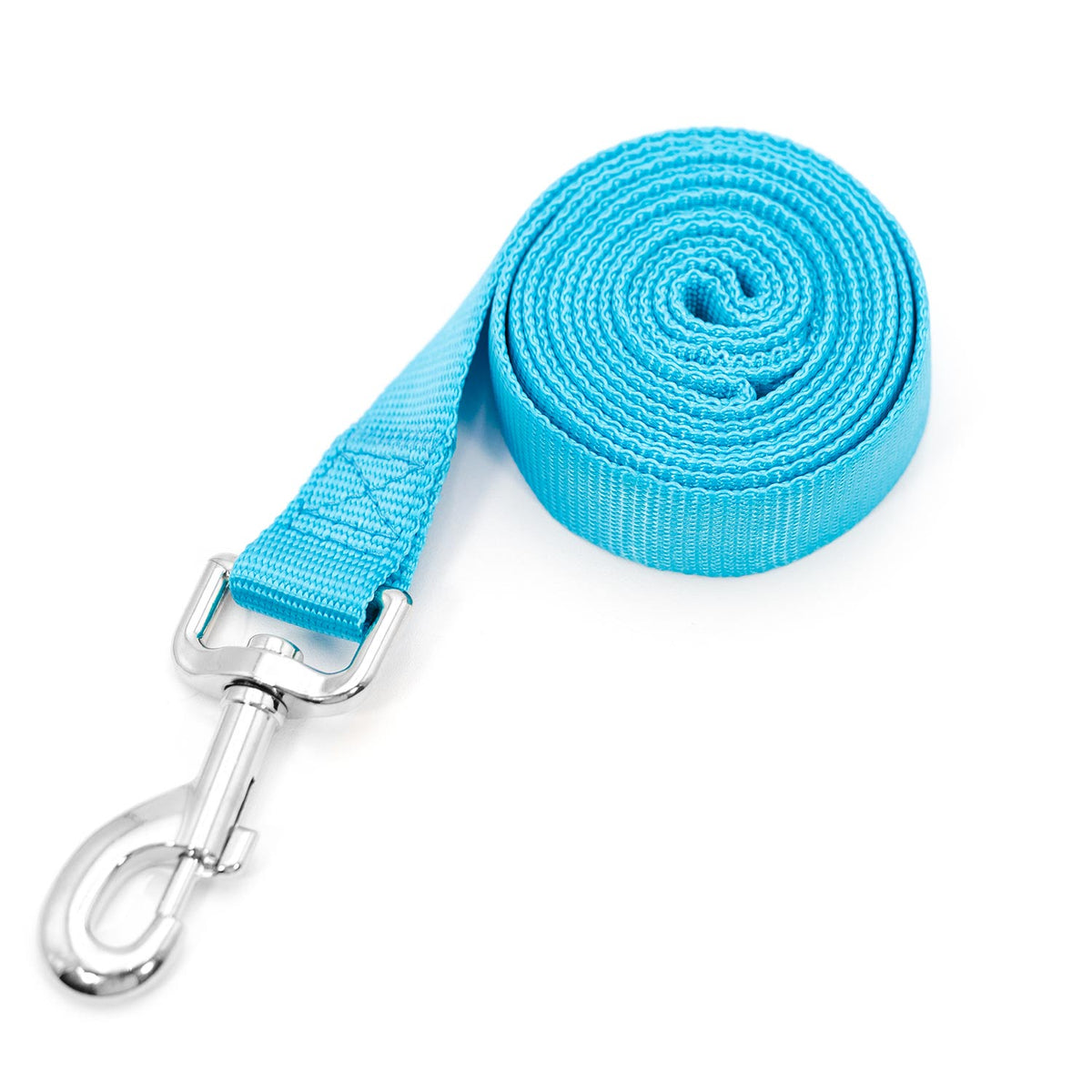 Jeffers 1-ply nylon dog leash, light blue webbing with chrome snap and D-ring