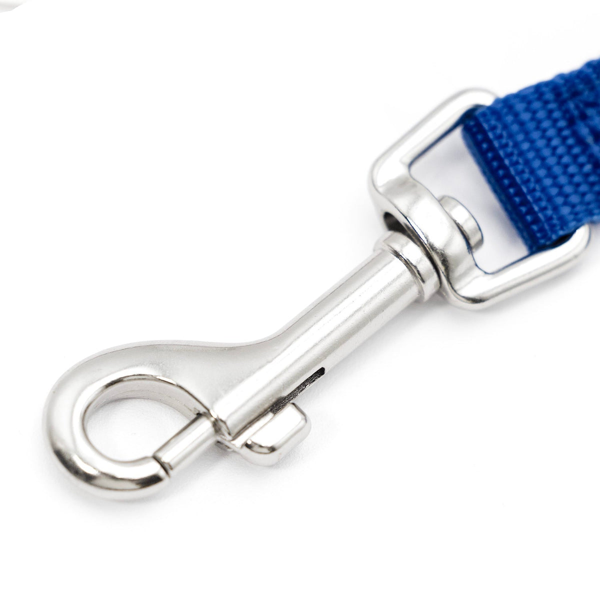 Jeffers nylon dog leash hardware, blue webbing with chrome spring snap and clasp