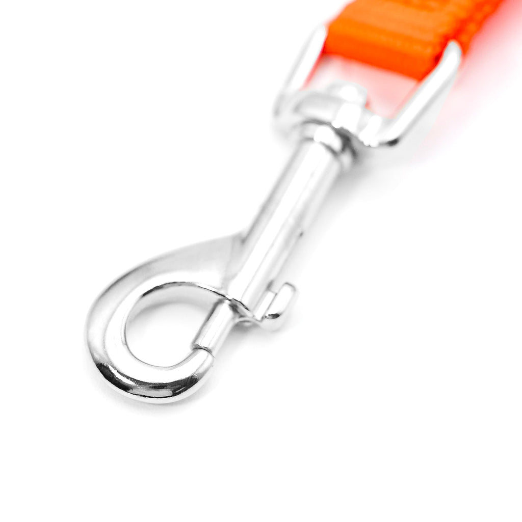 Orange nylon dog leash with chrome swivel snap hook and D-ring.