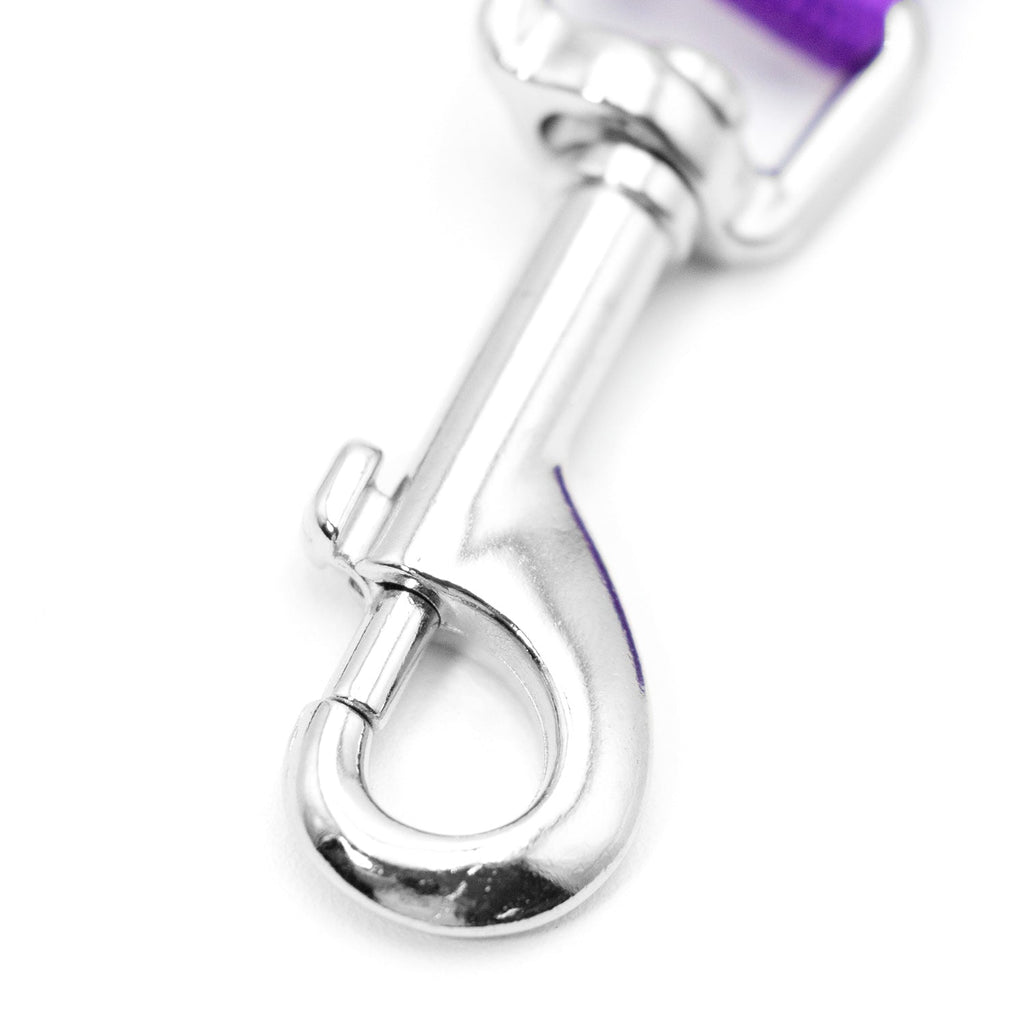 Purple nylon dog leash with chrome swivel snap hook and metal ring.