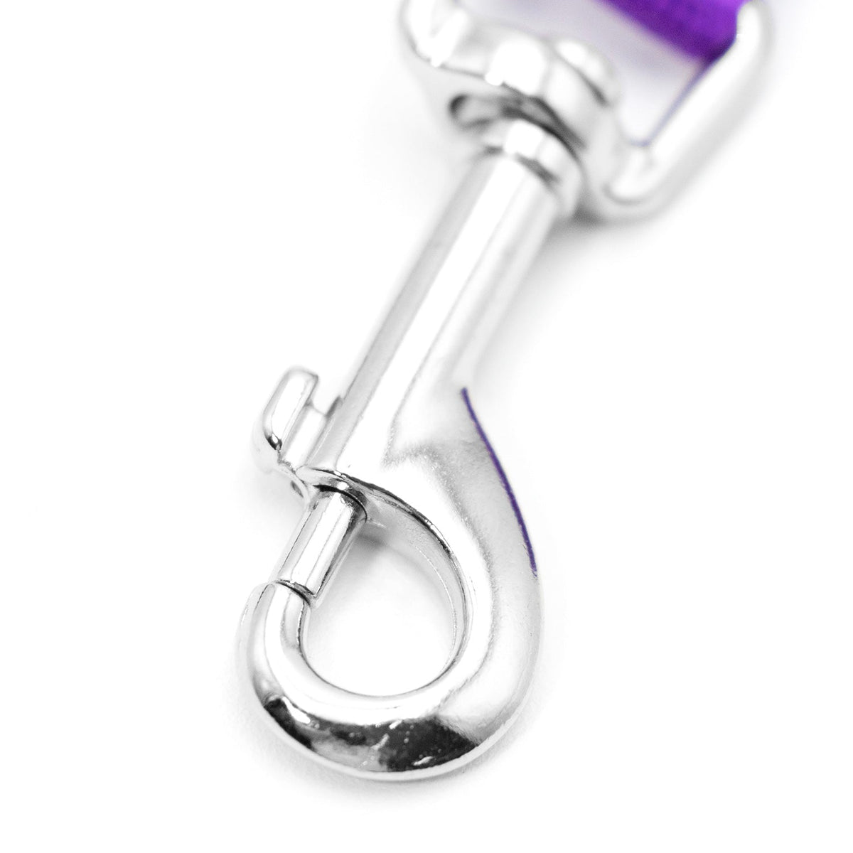 Purple nylon dog leash with chrome swivel snap hook and metal ring.