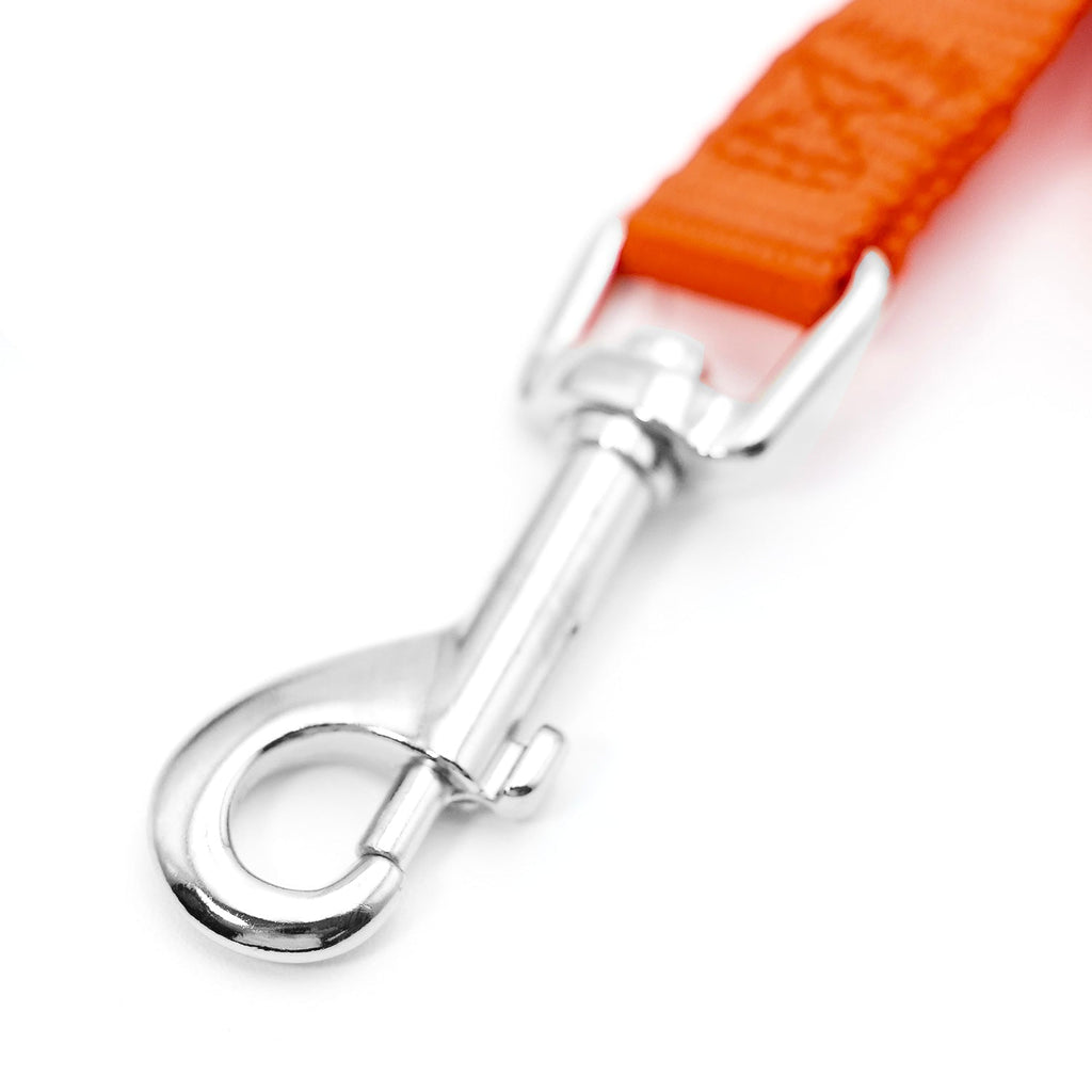 Orange nylon dog leash with chrome swivel snap hook and D-ring.