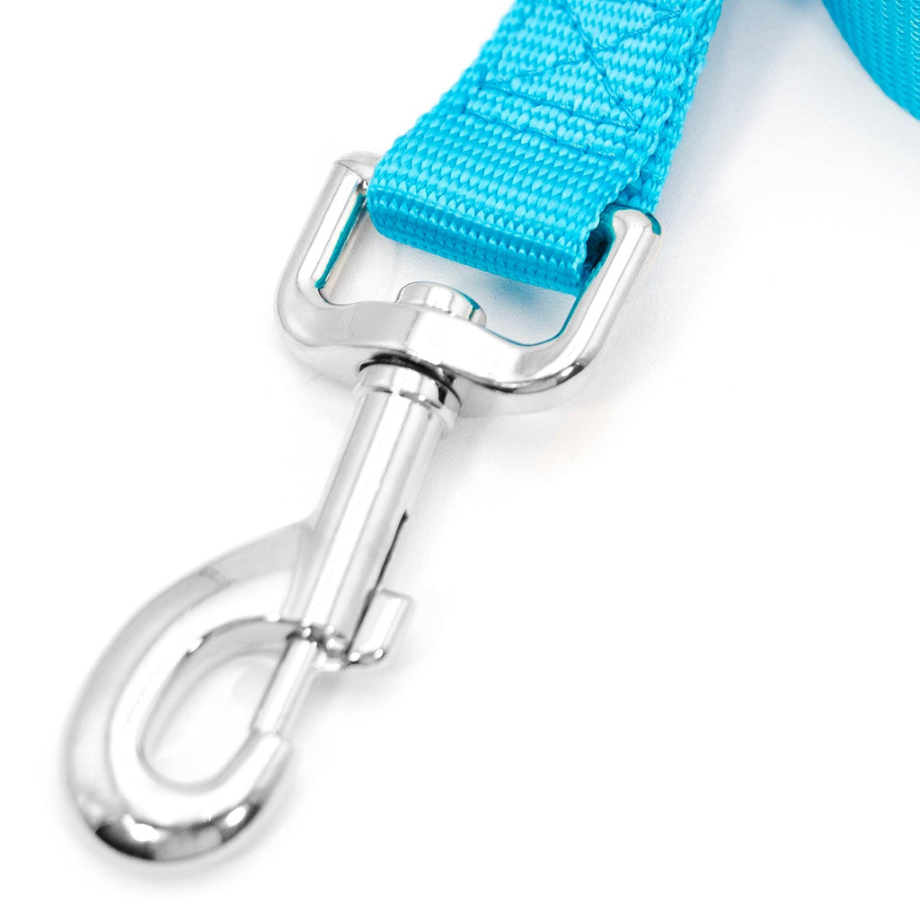 Turquoise nylon dog leash with chrome swivel snap hook and trigger clip.