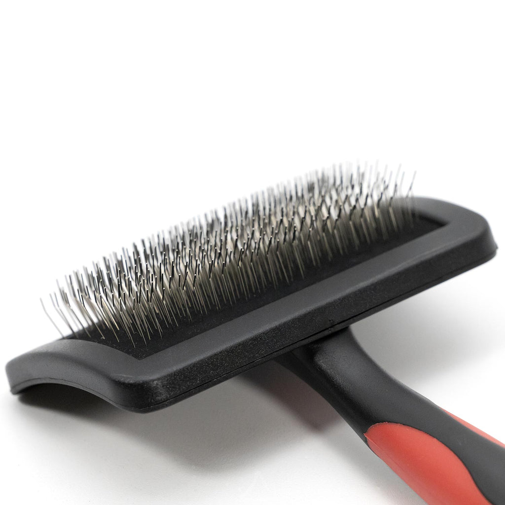 Pet grooming brush close-up of metal pin bristles on black pad, red-and-black handle