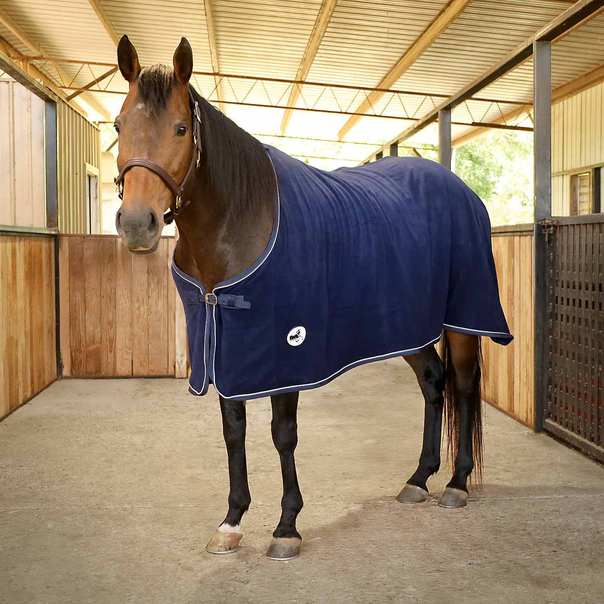 Navy fleece horse cooler blanket on horse, front zipper and white piping, round logo patch