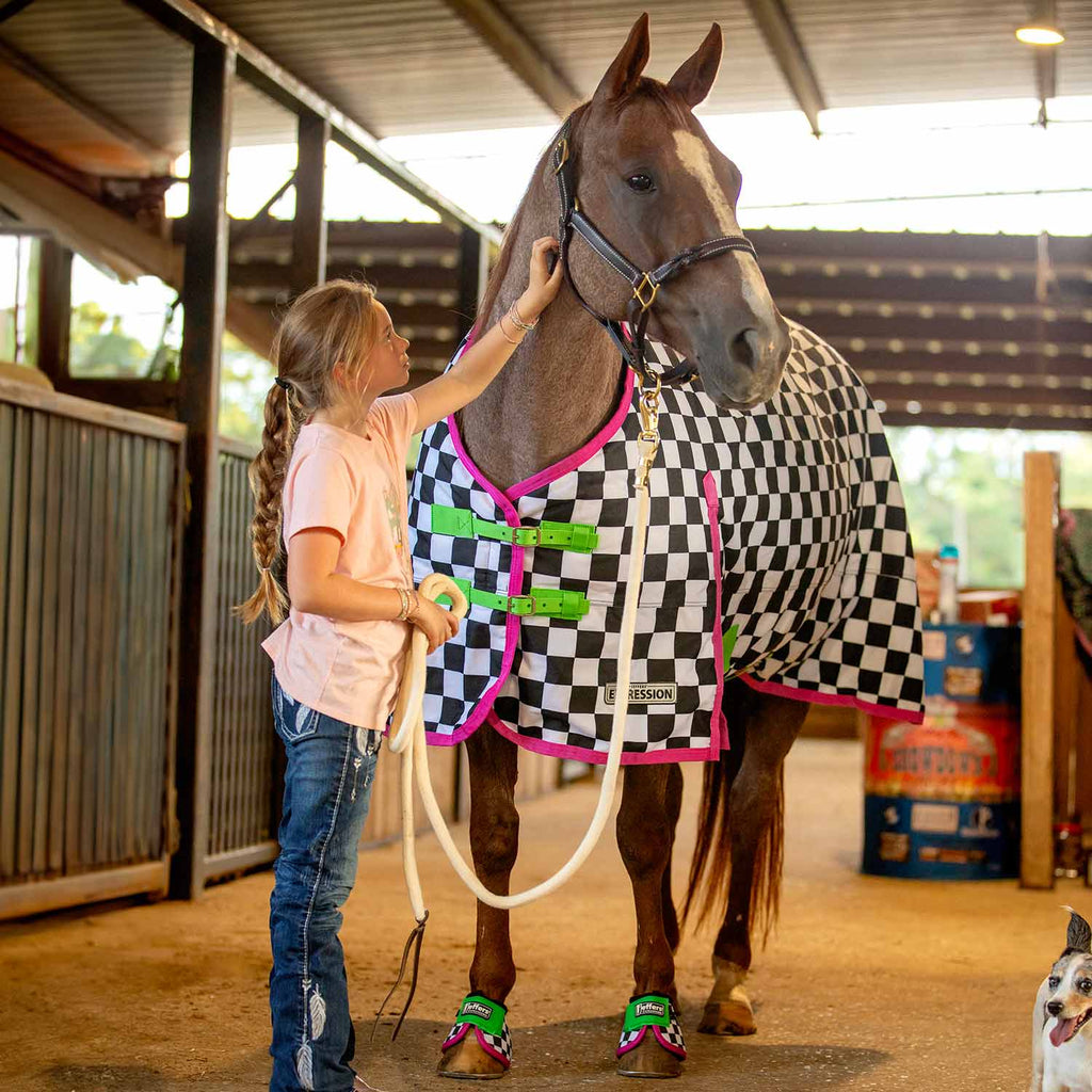 Horse turnout blanket on chestnut horse with checkered black-white panels and pink edging