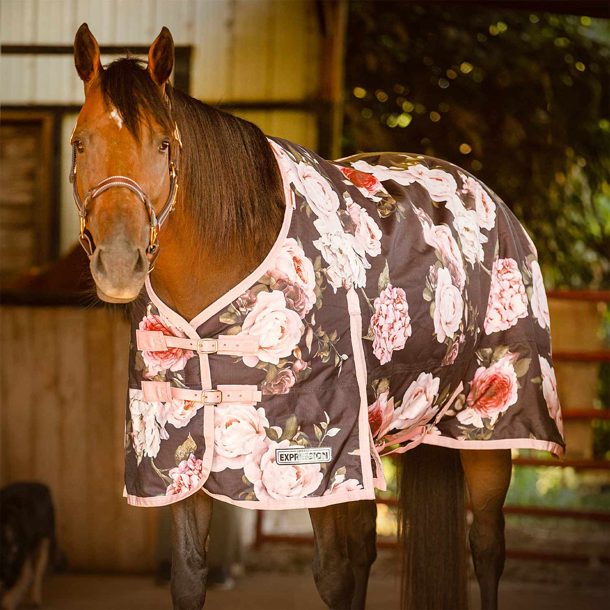 Horse turnout blanket with dark base and pink floral pattern, front closure straps