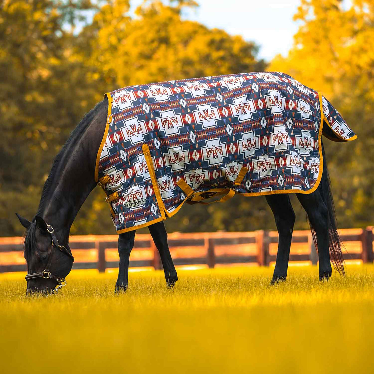 Navy patterned turnout horse blanket with standard neck, geometric print, and side straps