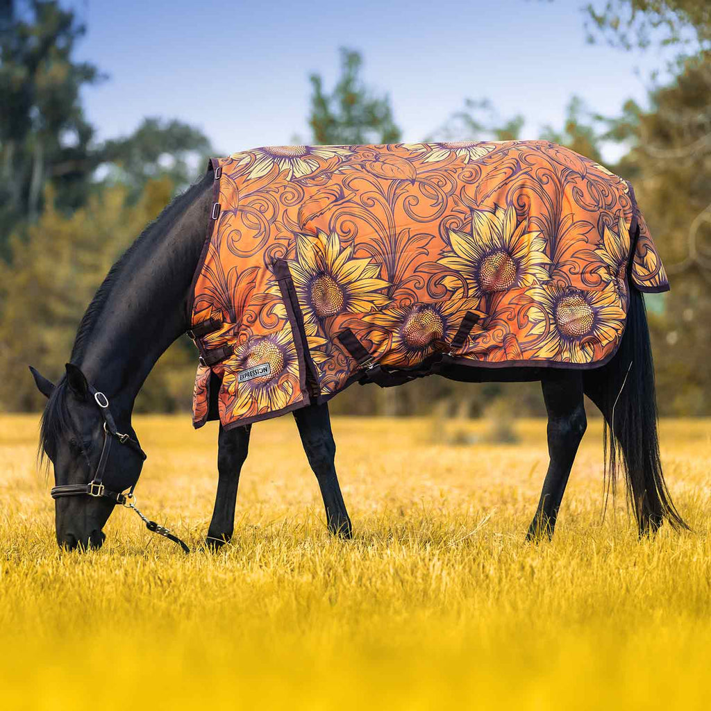 Orange floral patterned turnout horse blanket with standard neck and matching trim