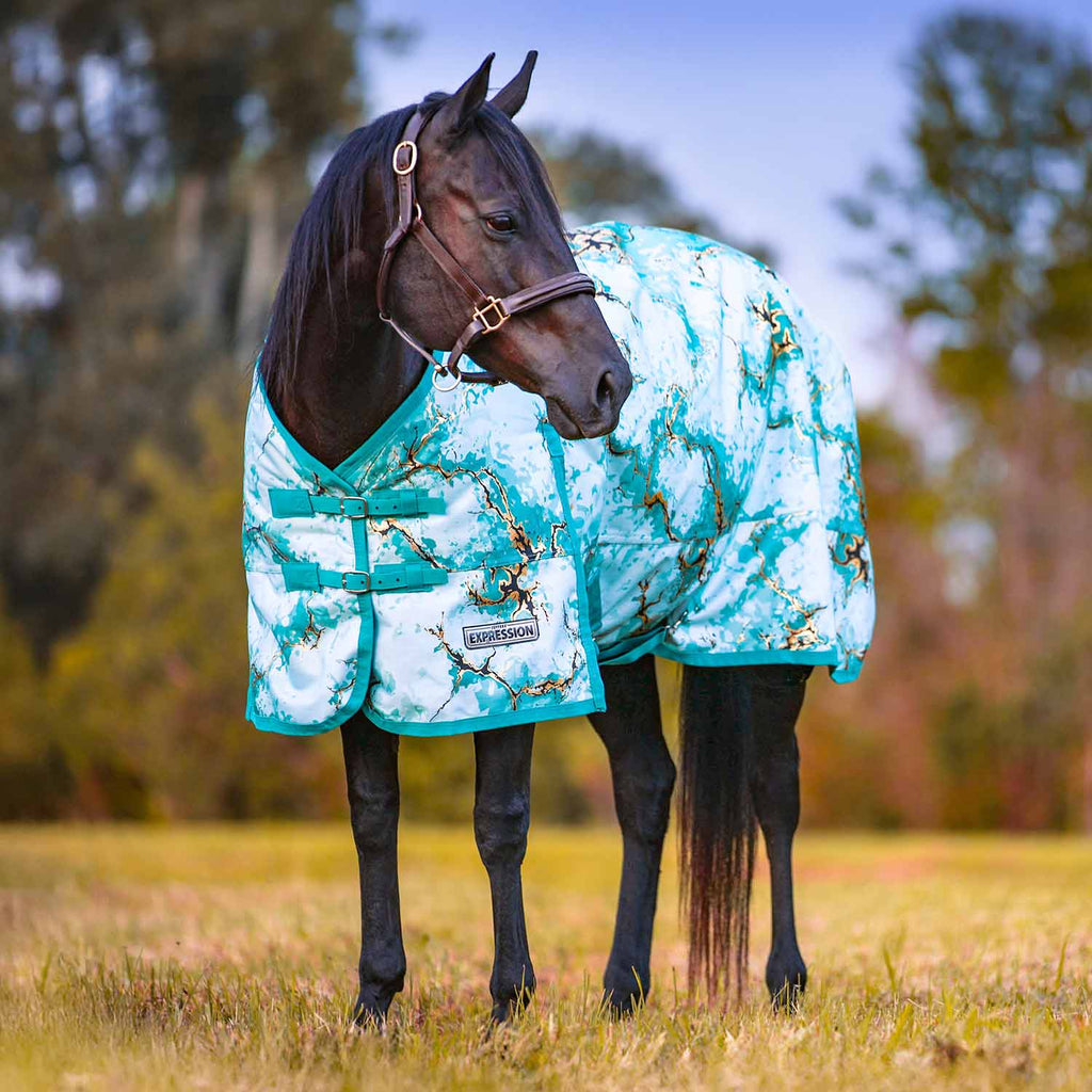 Horse turnout blanket with turquoise map-like pattern and adjustable front closure straps