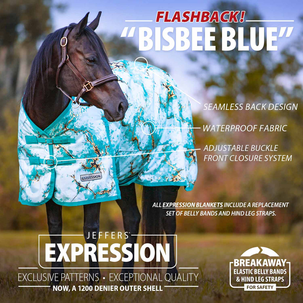 Blue patterned turnout horse blanket with standard neck, front closure straps, and belly bands