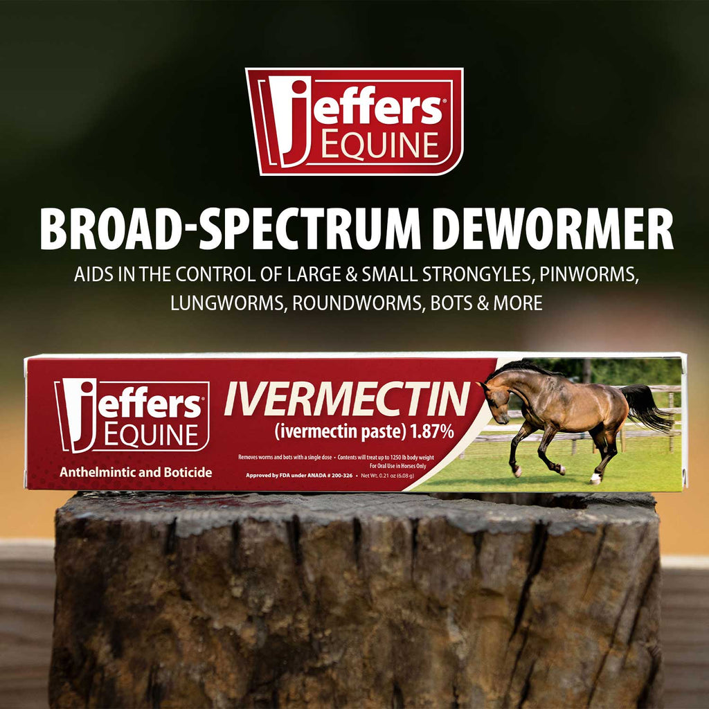 Jeffers Equine broad-spectrum dewormer box with ivermectin paste syringe