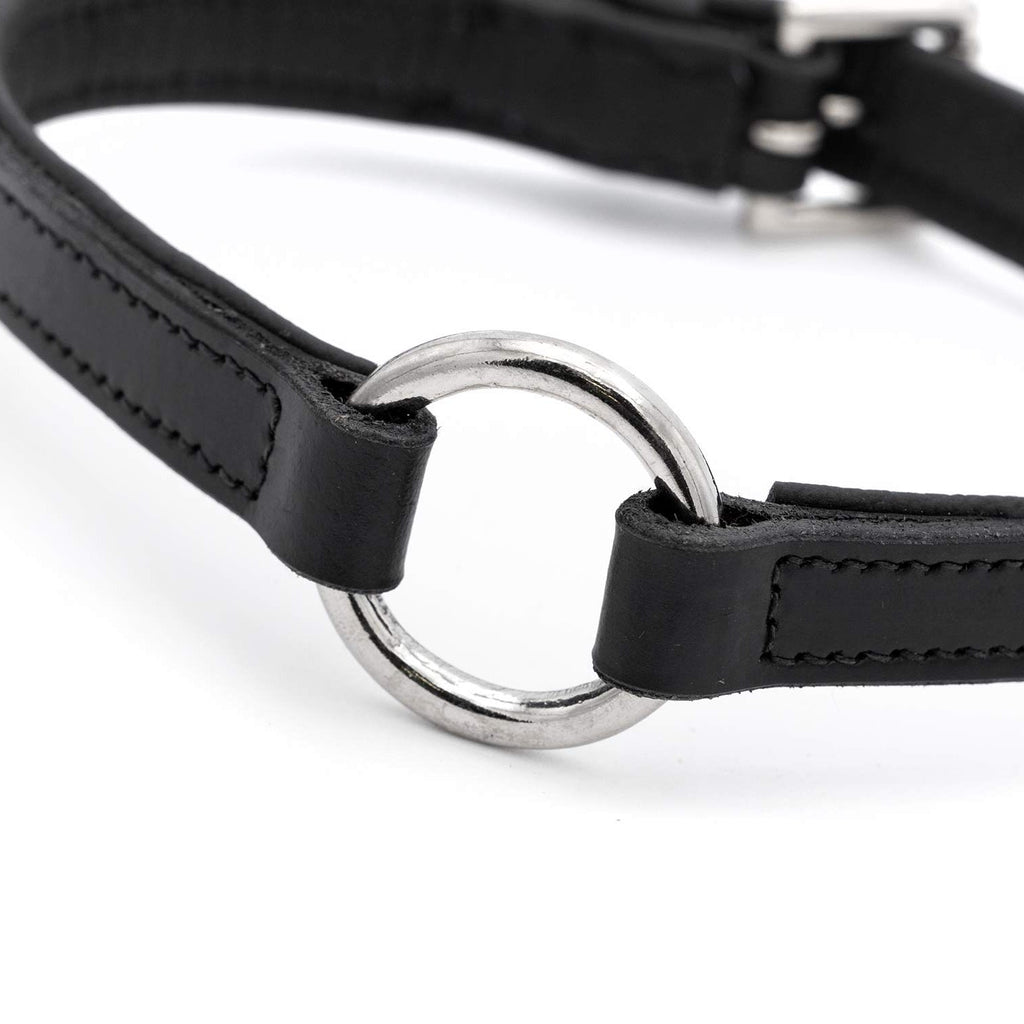 Black padded leather dog collar with large O-ring and nickel hardware