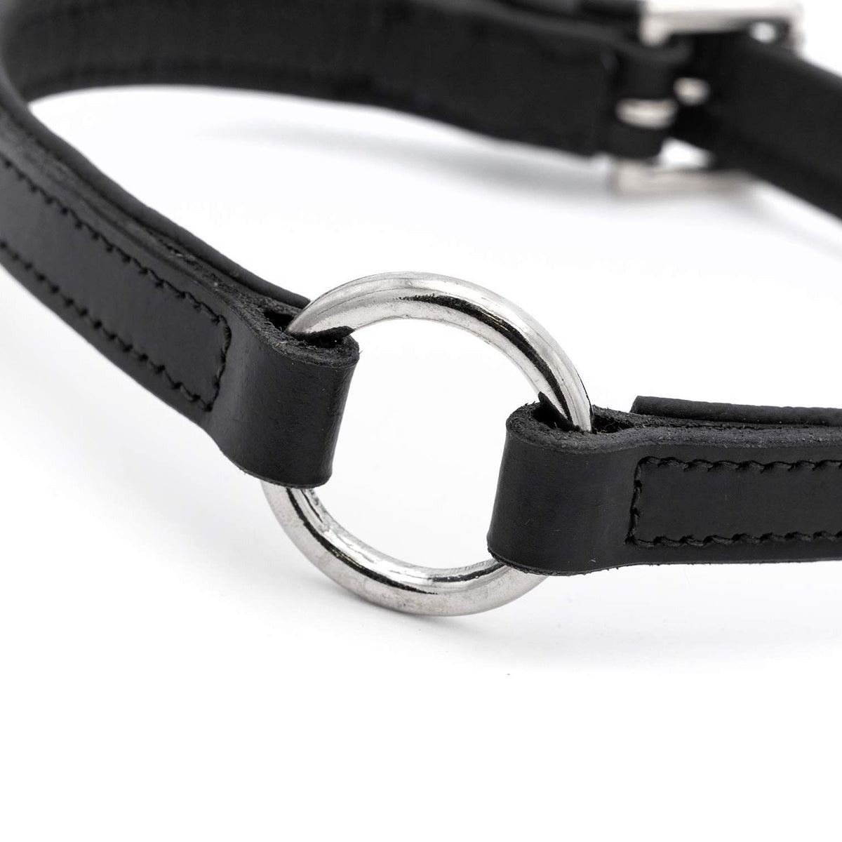 Black padded leather dog collar with large O-ring and nickel hardware
