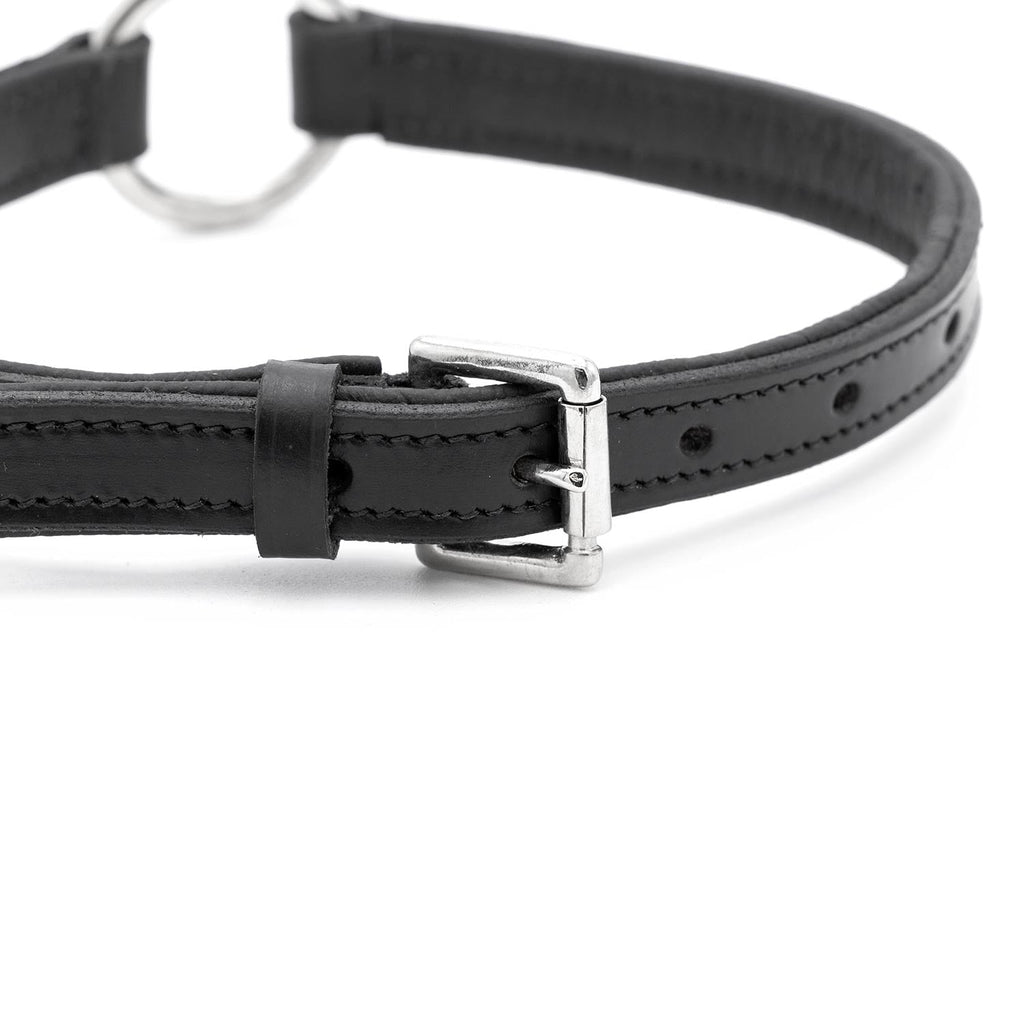 Black leather dog collar with metal buckle and O-ring hardware