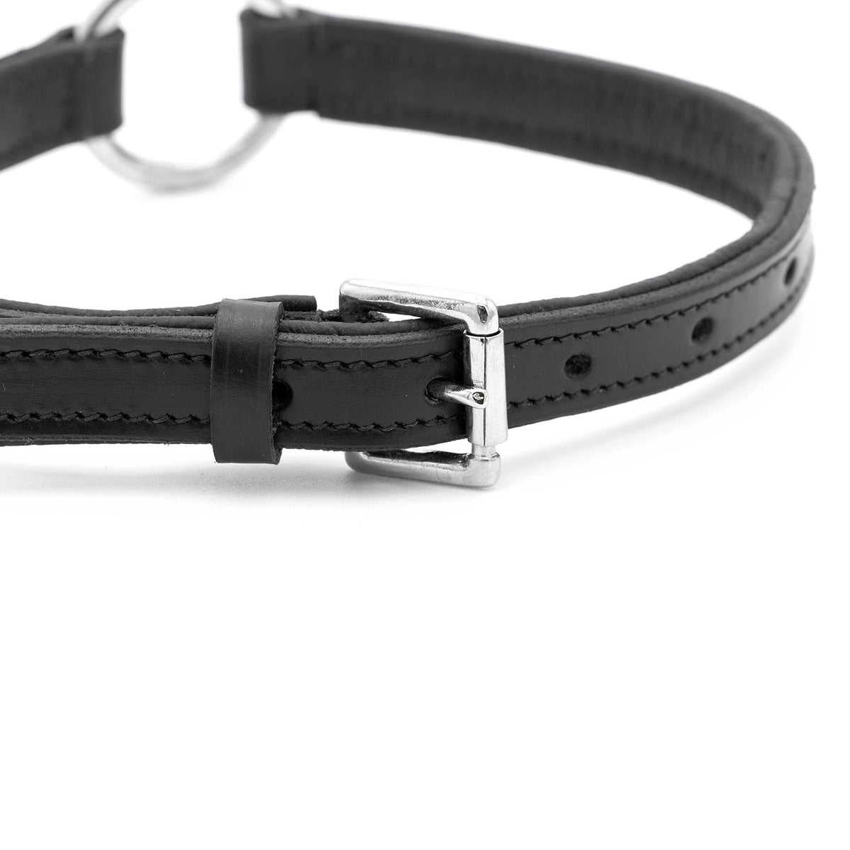 Black leather dog collar with metal buckle and O-ring hardware