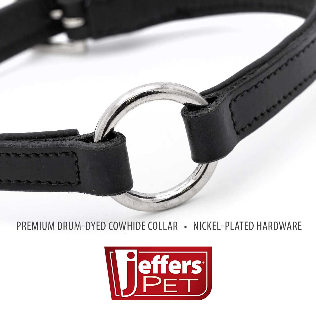 Black leather dog collar with O-ring and nickel hardware, close-up