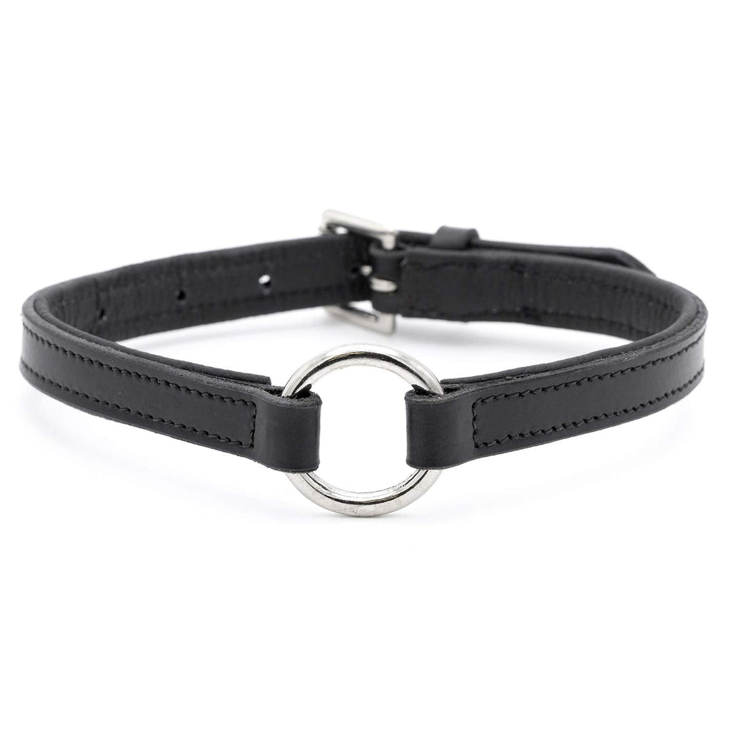 Padded black leather dog collar with O-ring and nickel hardware