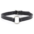Padded black leather dog collar with O-ring and nickel hardware