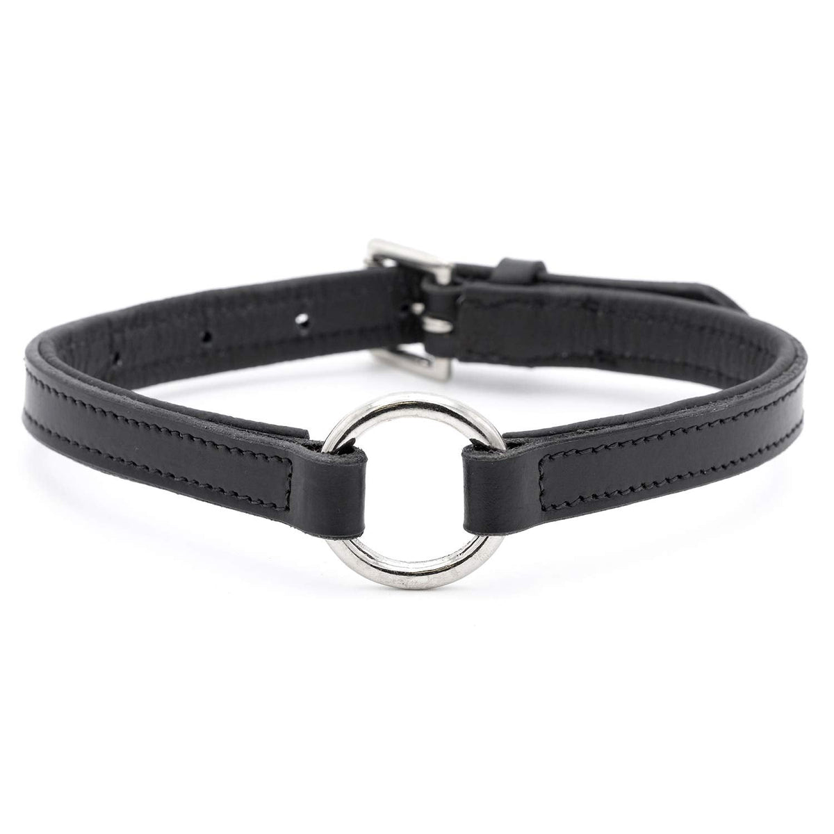 Padded black leather dog collar with O-ring and nickel hardware