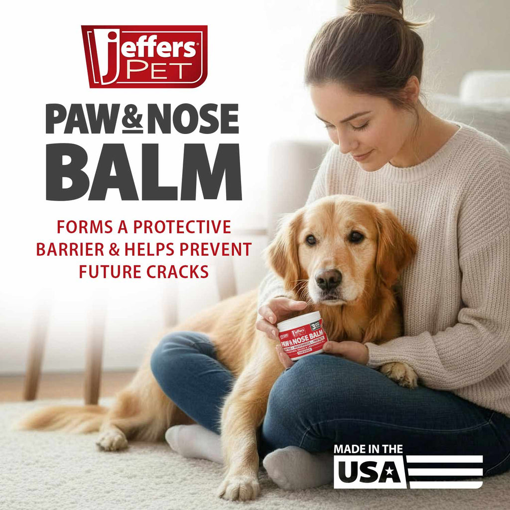 Jeffers Paw & Nose Balm jar held while a dog rests on a couch