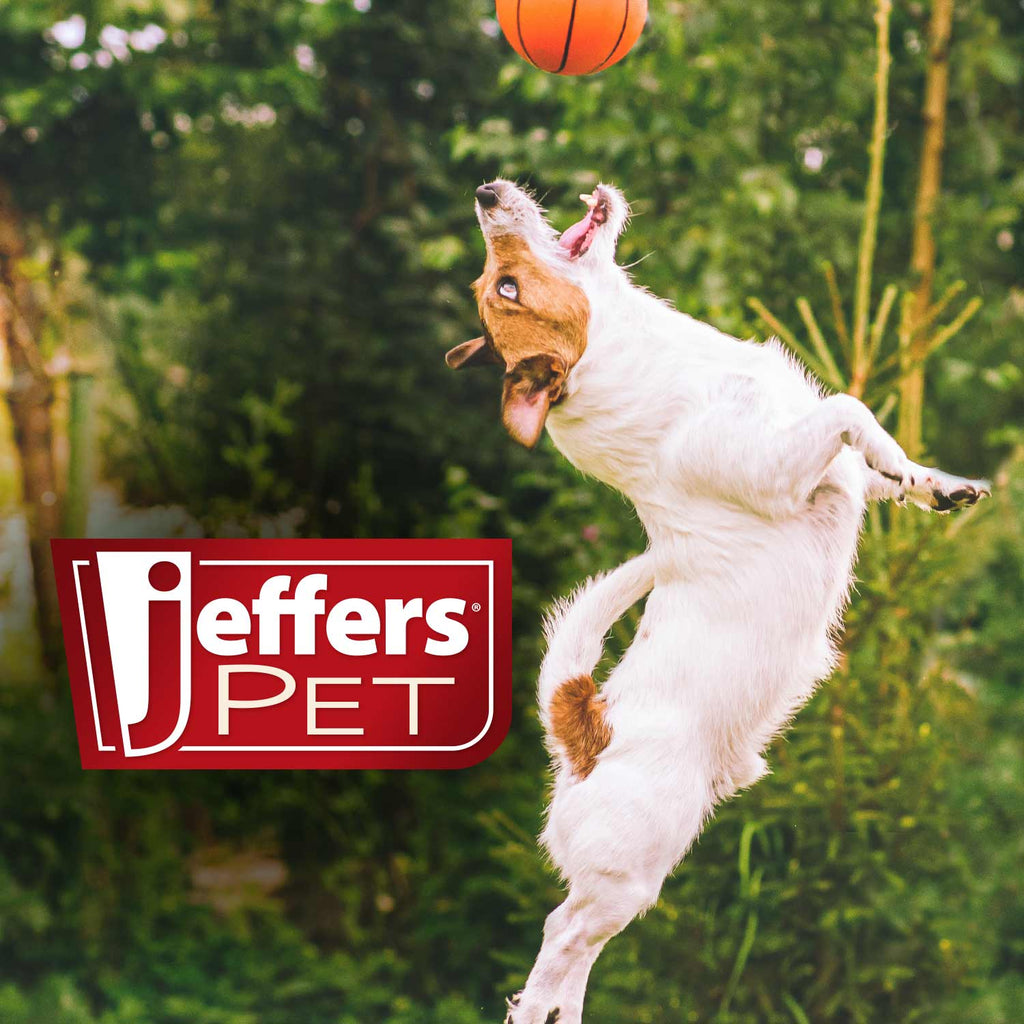 White dog running outdoors with orange ball; Jeffers Pet logo overlay.