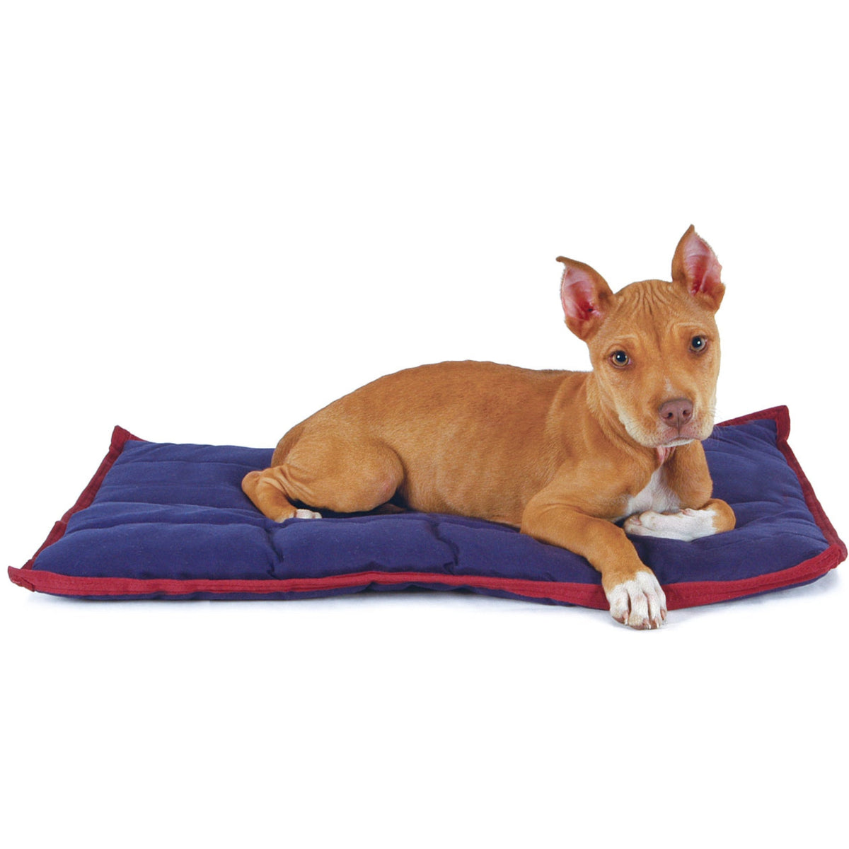 Tan and navy washable dog pillow with contrasting red trim, flat crate bed design