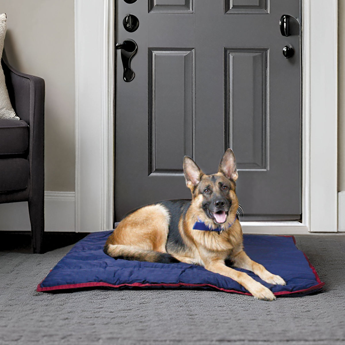 Navy washable dog pillow with red trim, flat surface for lounging or crate use