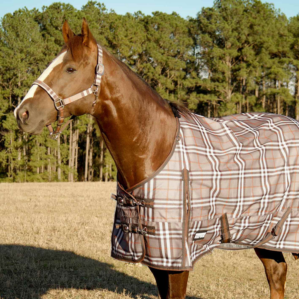Plaid medium-weight turnout horse blanket on chestnut horse, full body view