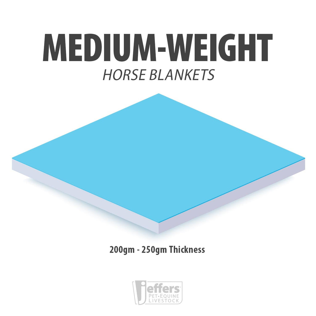 Medium-weight horse blanket thickness diagram, 200g to 250g